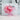 Ribbon - Palm Bites® - Gift Essentials - Pink