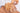 Sun Dried Turkish Figs - Palm Bites® - The Basics -